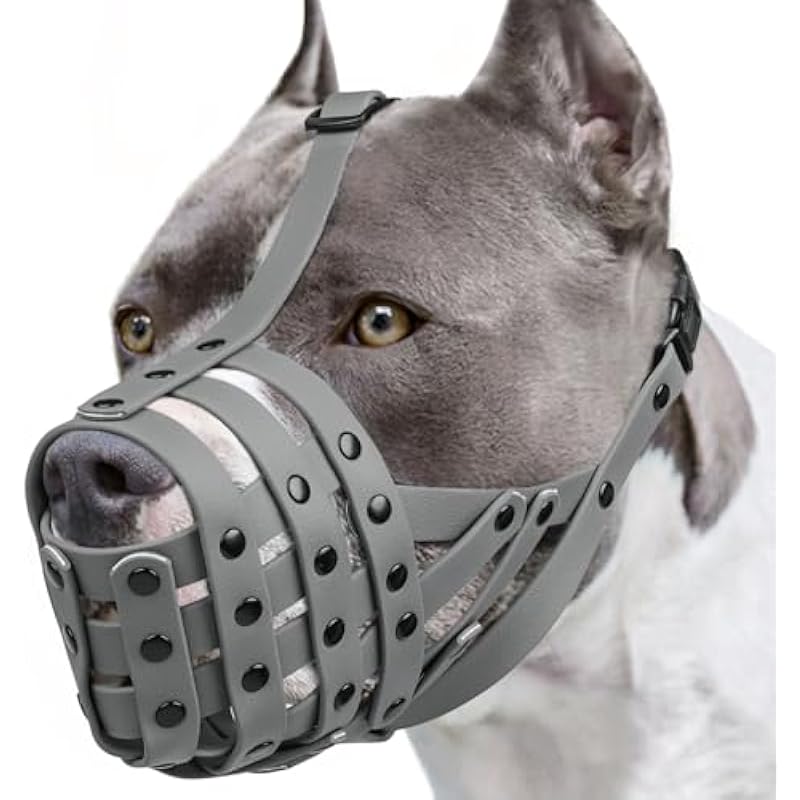 41aaja9neql. ac us800 .jpg