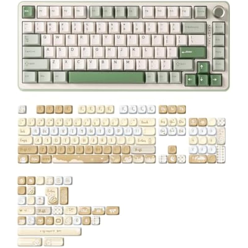 41bbloesjl. ac us800 .jpg