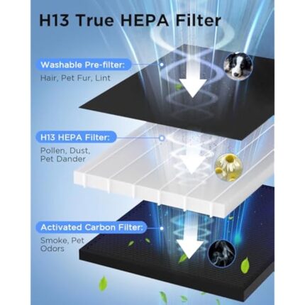 41bdeoiwfgl. ac us800 .jpg