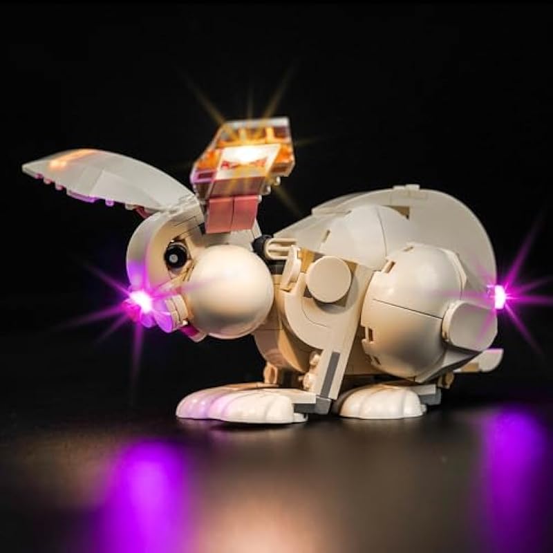 41bjtbvydil. ac us800 .jpg