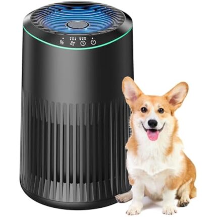 41brltrdcvl. ac us800 .jpg