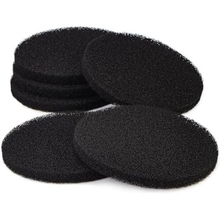 41bvdyyiol. ac us800 .jpg