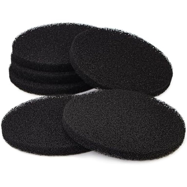 41bvdyyiol. ac us800 .jpg