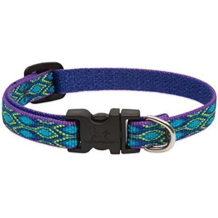 41cf2qqalel. ac us800 .jpg