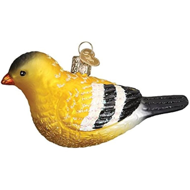 41conixigcl. ac us800 .jpg