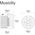 41cl7w6zil. ac us800 .jpg