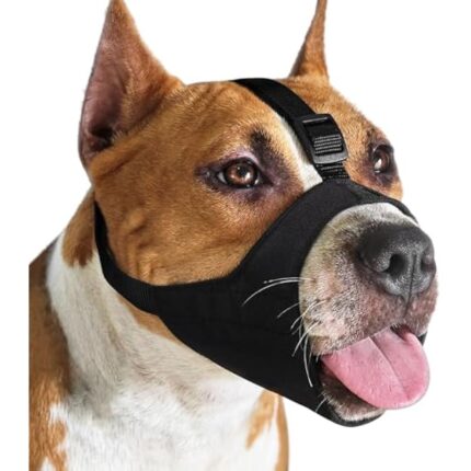 41csgvakzl. ac us800 .jpg