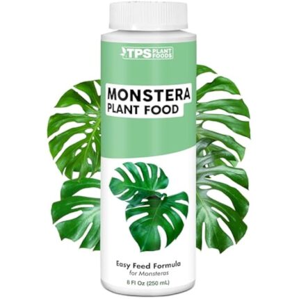 41d1z9kfxjl. ac us800 .jpg