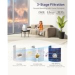 41ddlvqvjcl. ac us800 .jpg