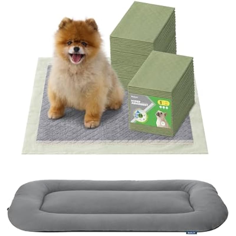 41e3w7bgb0l. ac us800 .jpg