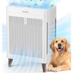 41eocxuhtl. ac us800 .jpg