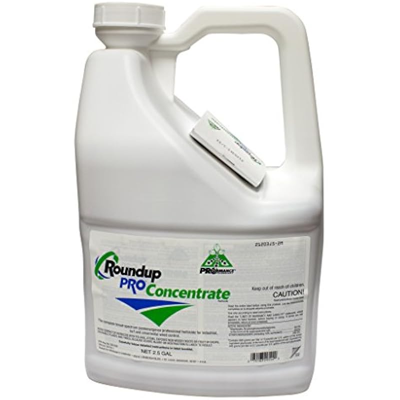 41eoxkvn8gl. ac us800 .jpg