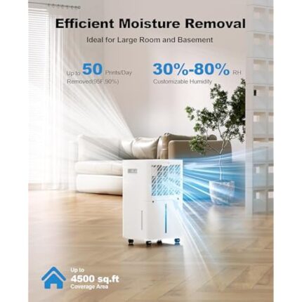 41f6r8d3p4l. ac us800 .jpg