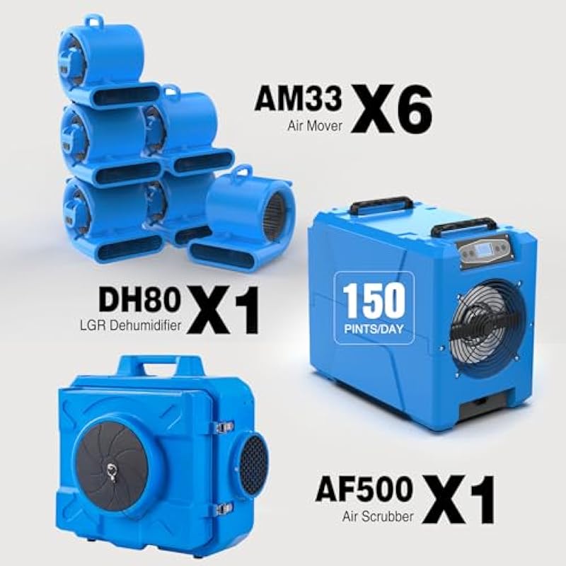 41flzwau8zl. ac us800 .jpg