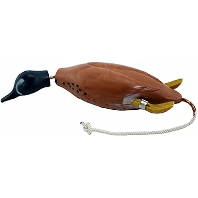 41gwlhcxl. ac us800 .jpg