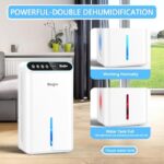 41hqwquabzl. ac us800 .jpg