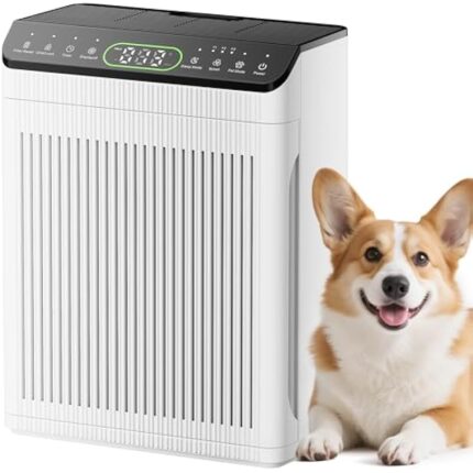 41igjifpo3l. ac us800 .jpg