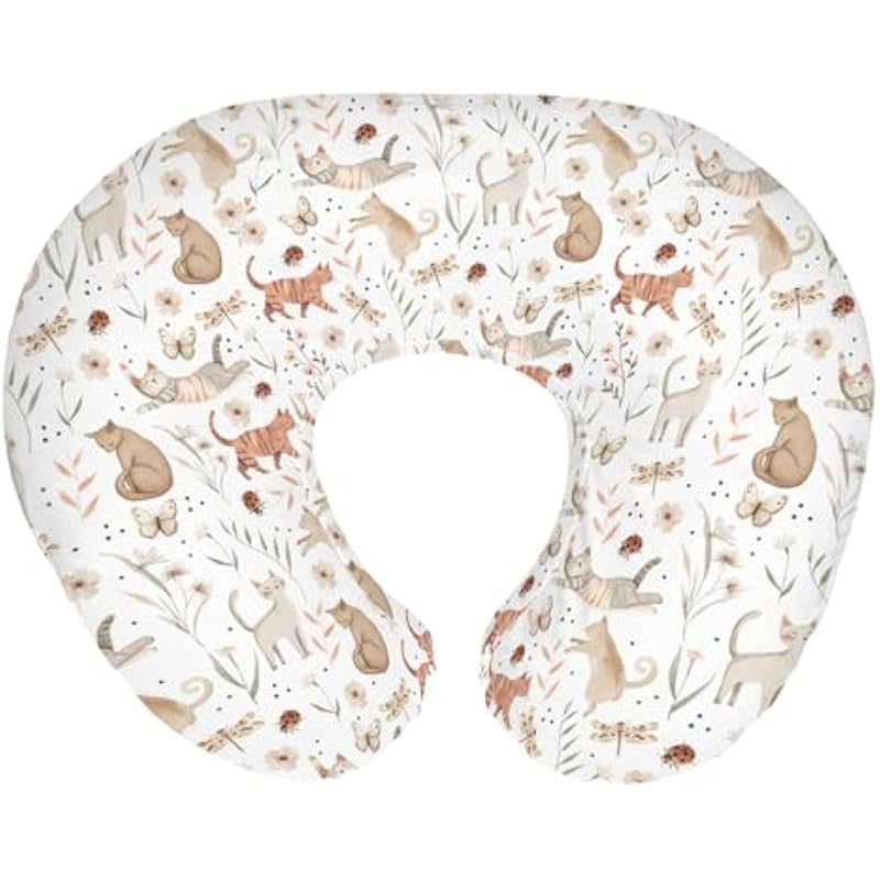 41im3bpdqpl. ac us800 .jpg