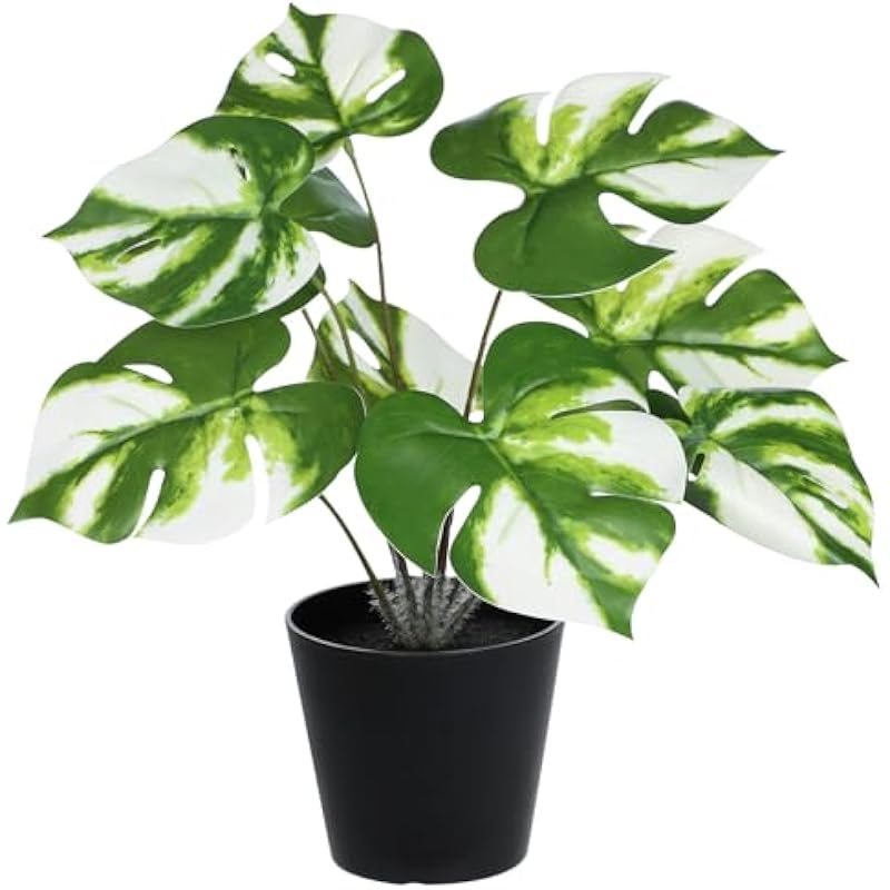 41isjfpfkhl. ac us800 .jpg