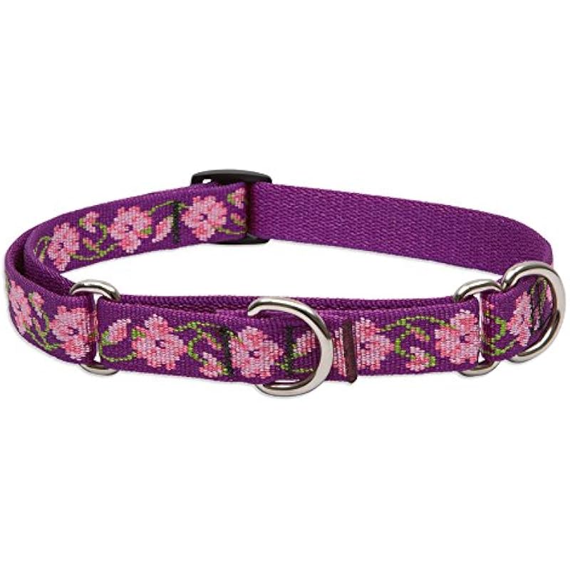 41kt7ojfbwl. ac us800 .jpg