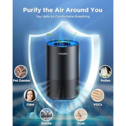 41kyt9plpdl. ac us800 .jpg