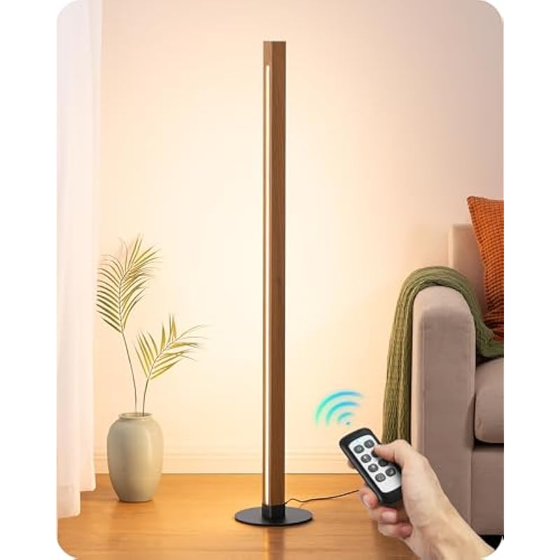 41la2wk fvl. ac us800 .jpg