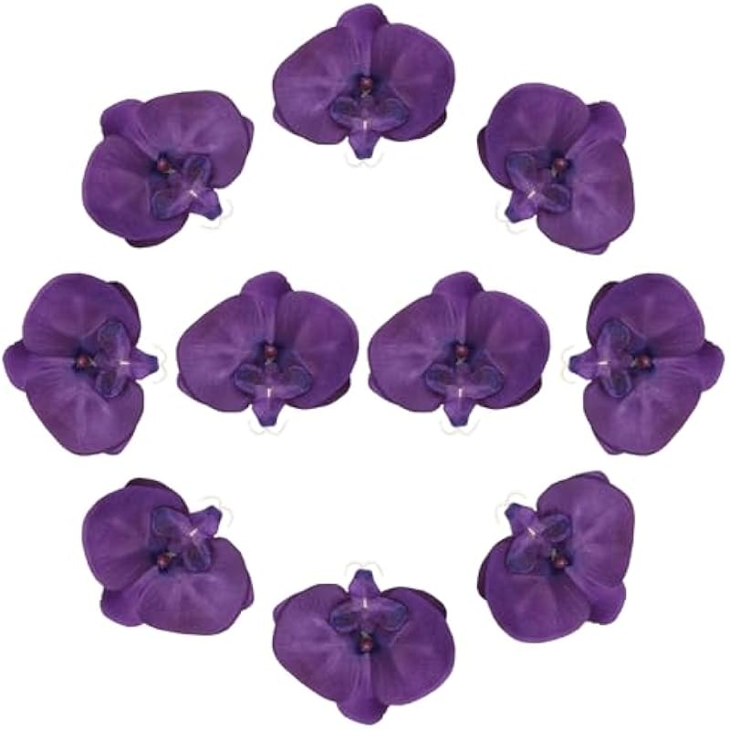 41llfnahg6l. ac us800 .jpg