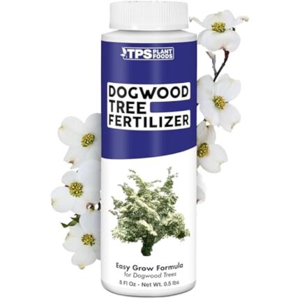 41lqmbmktal. ac us800 .jpg