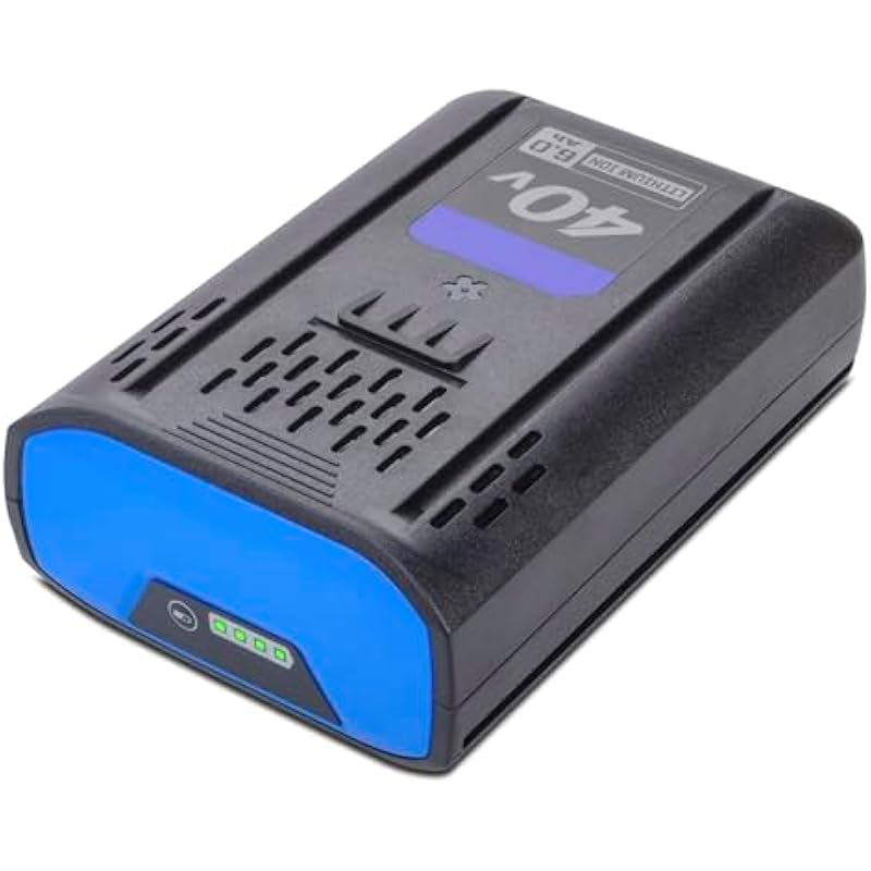 41lnpkvdhgl. ac us800 .jpg