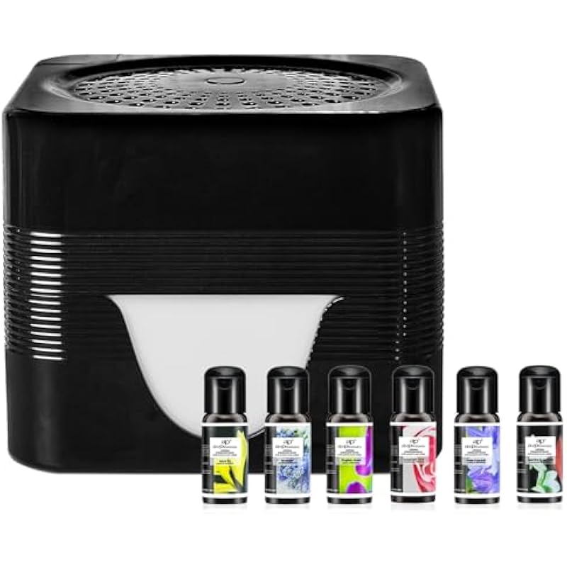 41mnbsevlyl. ac us800 .jpg