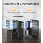 41meg1pyg9l. ac us800 .jpg