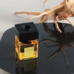 41mevxw35l. ac us800 .jpg