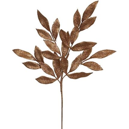 41mjy3z31l. ac us800 .jpg