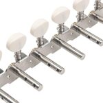 41n5qn19qkl. ac us800 .jpg