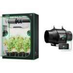 41n64mqmmcl. ac us800 .jpg