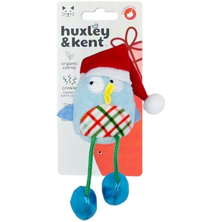 41ncjdp99vl. ac us800 .jpg