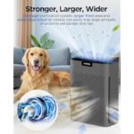 41nnshtenol. ac us800 .jpg