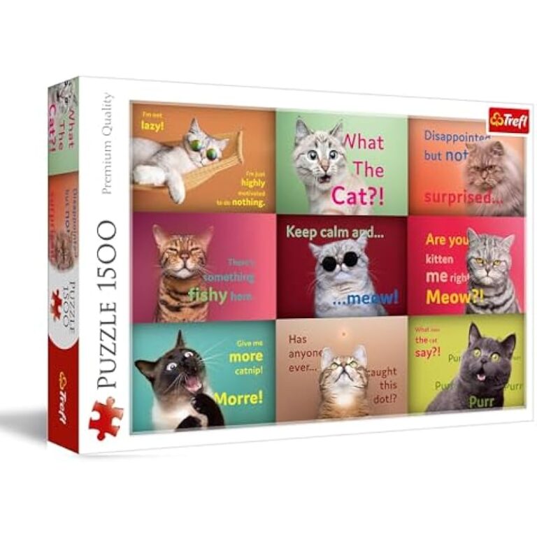 41nq28c38xl. ac us800 .jpg