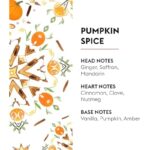 41nru1uaool. ac us800 .jpg