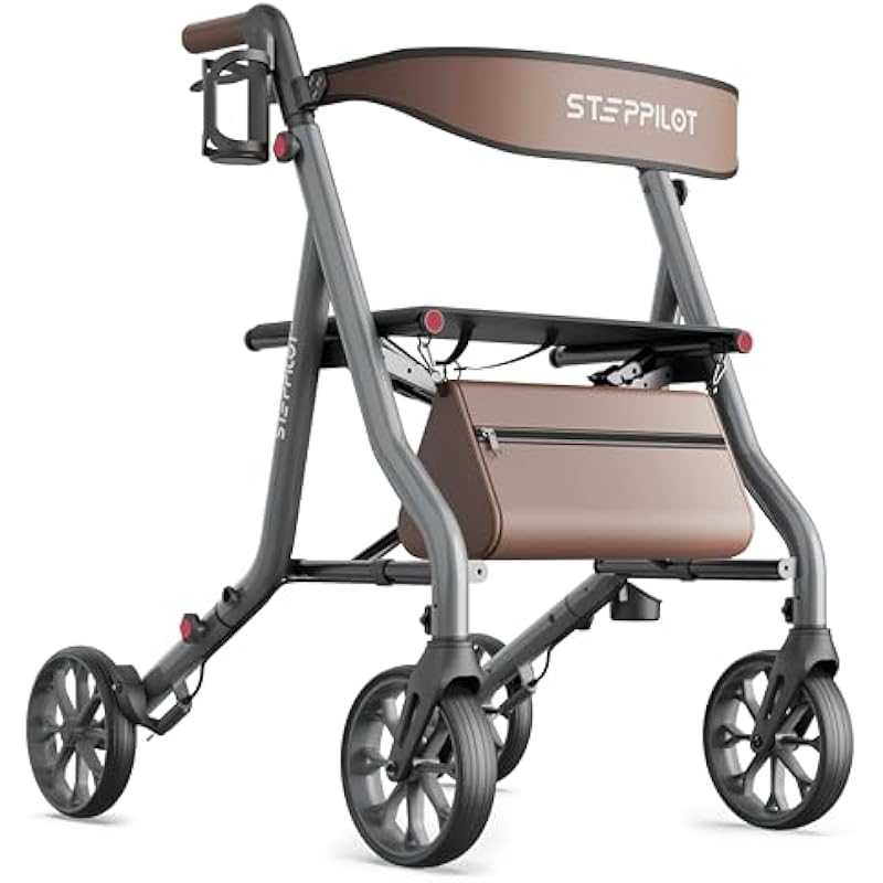 41ojlwkfipl. ac us800 .jpg