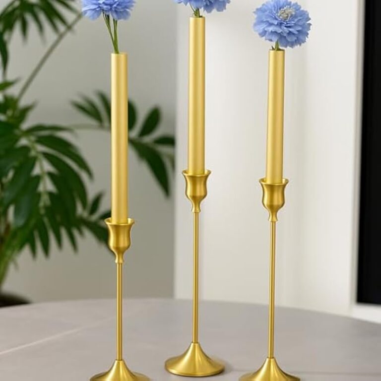 41on0yqivvl. ac us800 .jpg