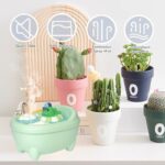 41ozjkq2gvl. ac us800 .jpg