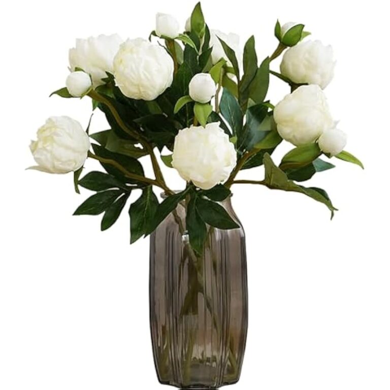 41qc5hvx28l. ac us800 .jpg