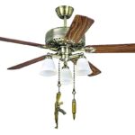 41qi8buv0vl. ac us800 .jpg