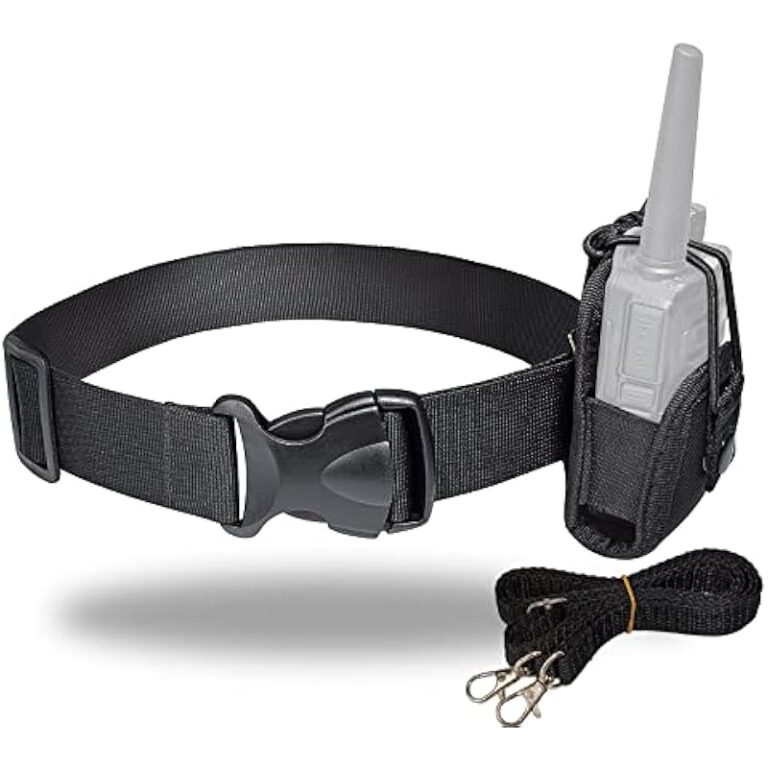 41rgpjfvctl. ac us800 .jpg