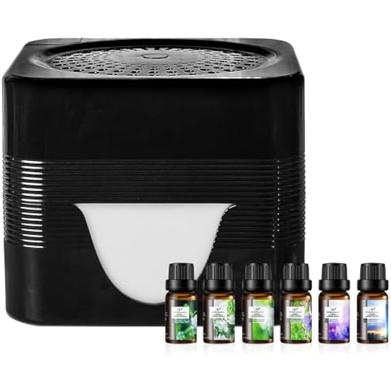 41rxycHQqL._AC_US800_.jpg 41rxychqql. ac us800 .jpg