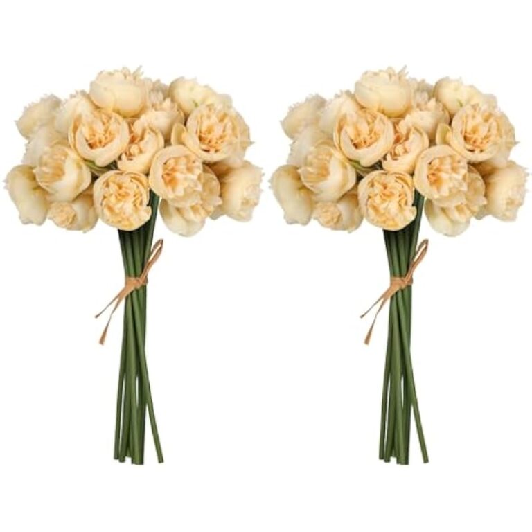 41spig6k3tl. ac us800 .jpg