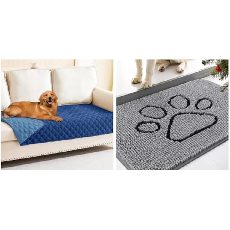 41twy2sikol. ac us800 .jpg