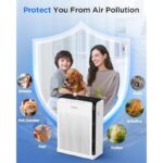 41u79ivfa l. ac us800 .jpg