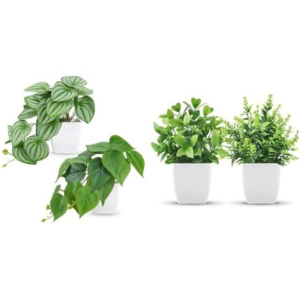 41v6ibnel. ac us800 .jpg